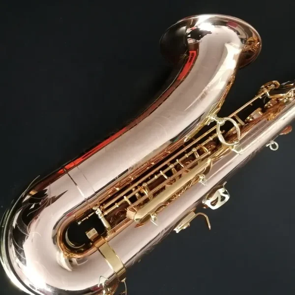 テナーサックス Bird Series Silver & Gold - 画像 (5)