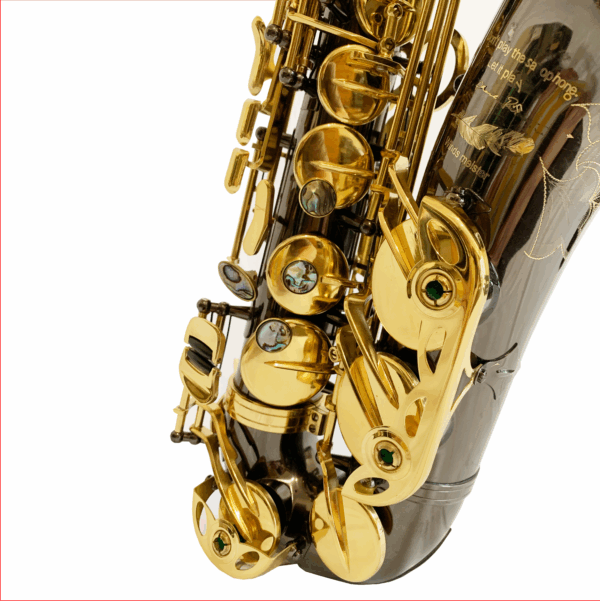 テナーサックス Bird Series Black & Gold - 画像 (4)